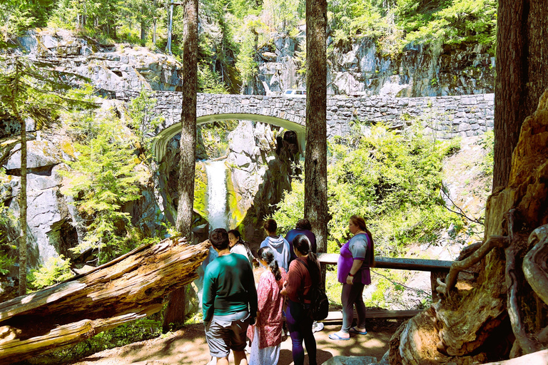 From Seattle: Customized Mount Rainier Tour