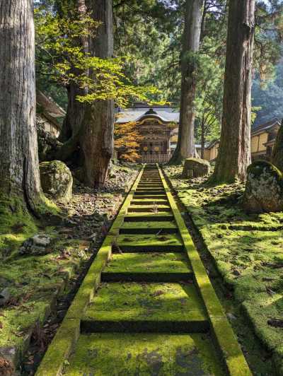 Von Kanazawa: Buddhistischer Tempel Eiheiji und Schlossstadt Fukui