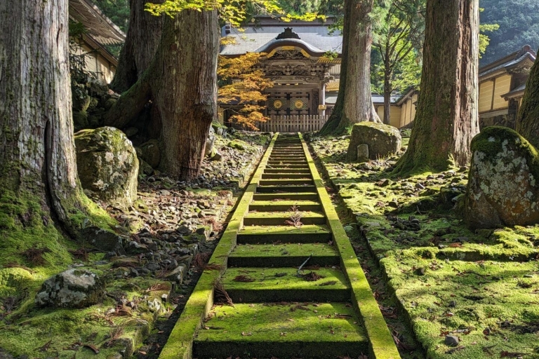 Z Kanazawy: świątynia buddyjska Eiheiji i miasto zamkowe FukuiDołącz ze stacji Fukui