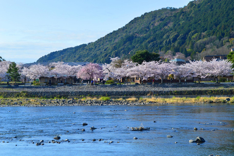 Discover the Highlights in Kyoto &amp; Nara in 3 DAYS !