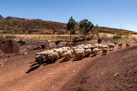 Sucre, 2 days trek in Inca Trails and the Crater de Maragua - Housity