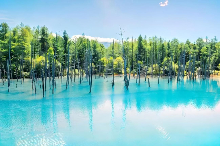 One-Day Tour to Asahiyama Zoo and Biei Blue Pond in Hokkaido
