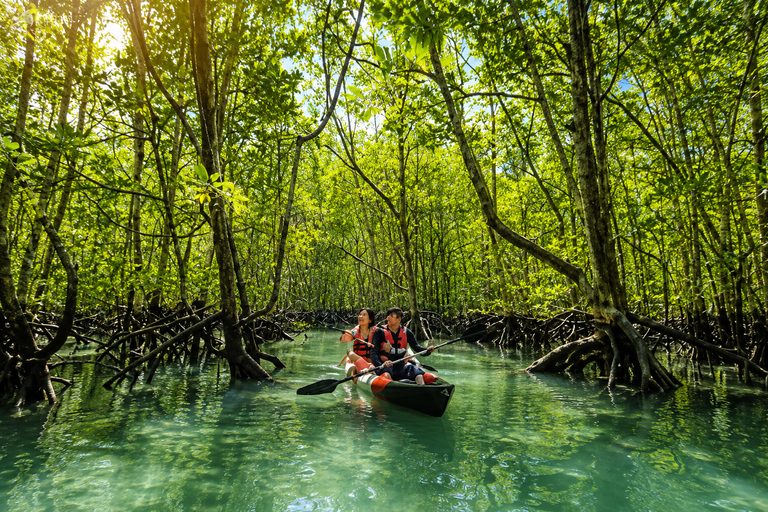 Langkawi: Mangrove Discover to SkyCab & SkyBridge Adventure