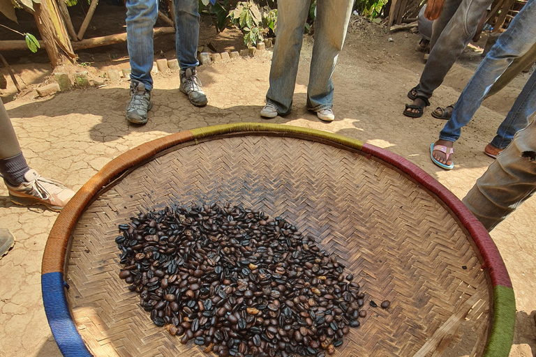 Kilimanjaro: Vandring till vattenfall och stadsturKilimanjaro: vandring till vattenfall och stadstur