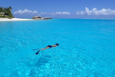 Bora-Bora : sortie en bateau et snorkeling en petit groupe avec prise en charge