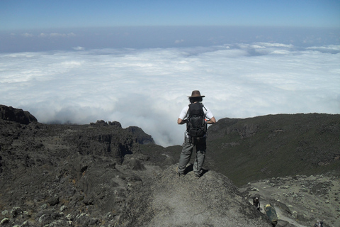 Kilimangiaro: scalata di 7 giorni della Machame Route con le guide