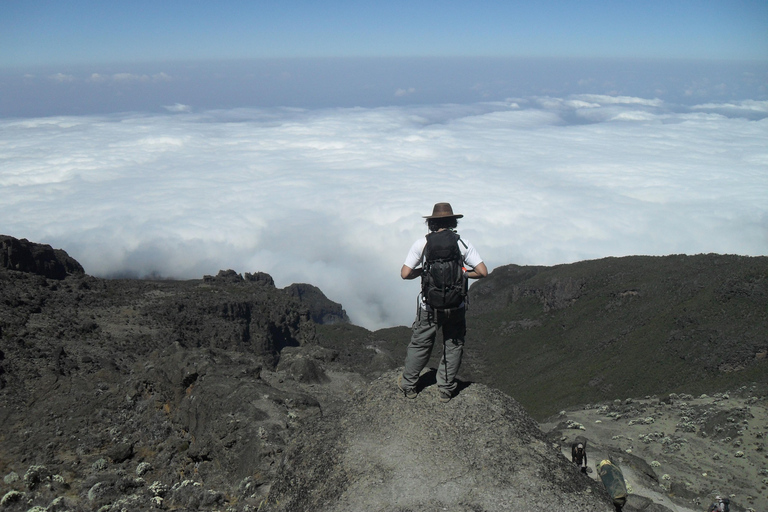 Kilimangiaro: scalata di 7 giorni della Machame Route con le guide