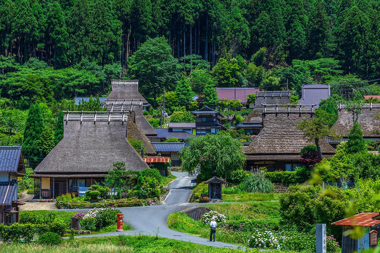 Osaka : Excursion d&#039;une journée à Amanohashidate, Ine Hunaya, Miyama-Village