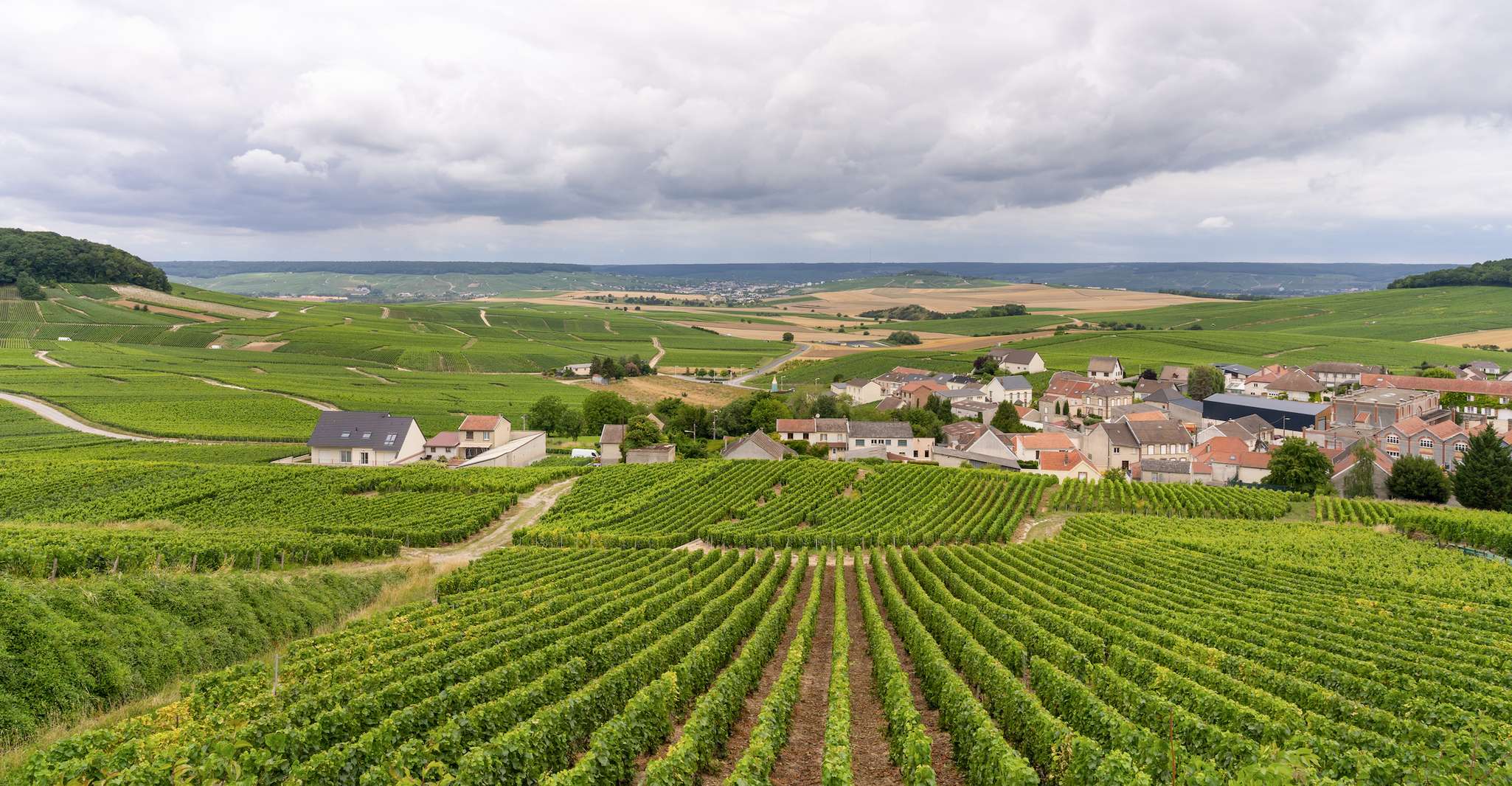 Da Parigi, gita di un giorno allo champagne con 8 degustazioni e pranzo - Housity