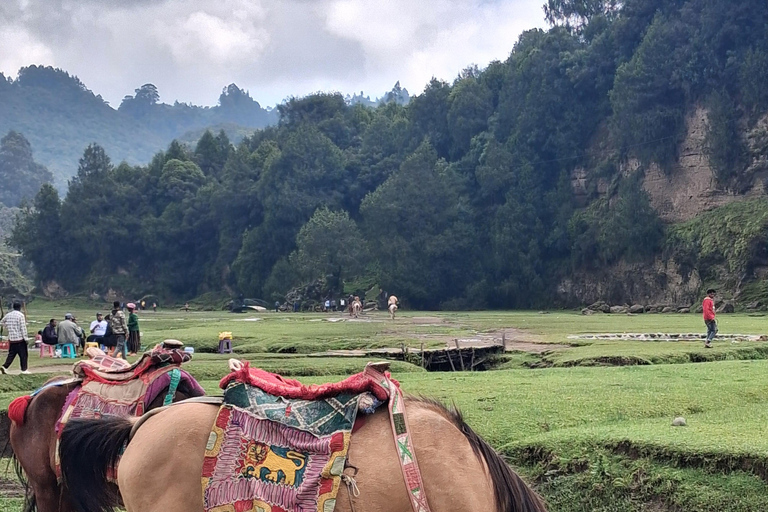 From Addis Ababa: Wonchi Crater Lake with Boat Ride