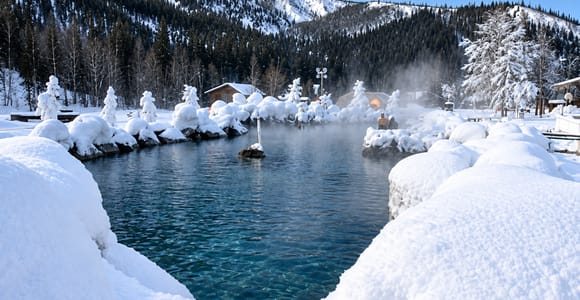 Fairbanks: Chena Hot Springs + Northern Lights Tour