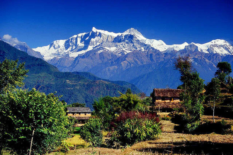 Paquete turístico por el valle de Pokhara Visitas turísticas