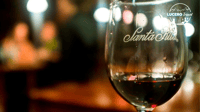 Weinberg Santa rita - Hizvo