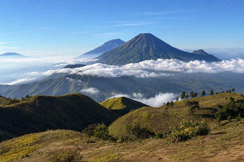 Yogyakarta: Mount Prau Golden Sunrise Hike and Summit Coffee All-Inclusive Mount Prau Sunrise Experience