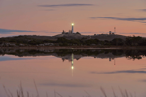 Rottnest Island Seals, Sunset & West End Bus Tour