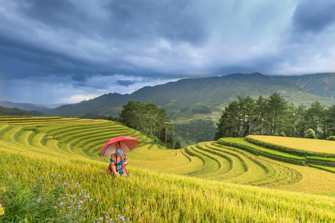 Yogyakarta: Borobudur Climb-Up Selogriyo Rice Field Trekking