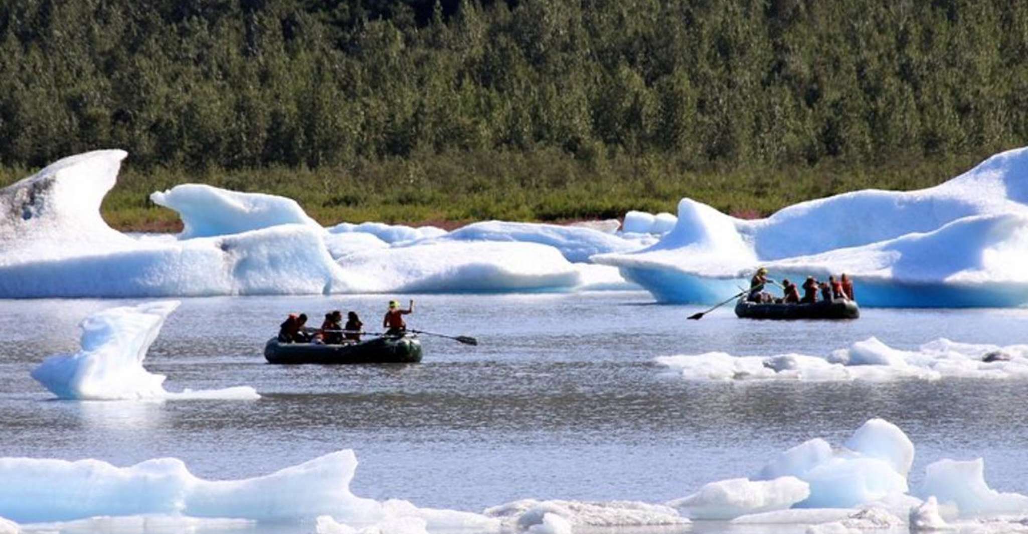 Girdwood, Bears, Trains, & Icebergs Tour - Housity