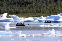 Girdwood, Bears, Treinen en Icebergs Tour - Housity