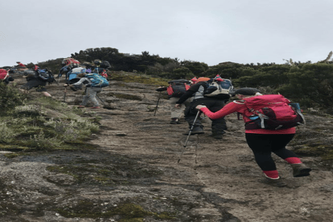 Tanzania: Kilimanjaro 10-Day Adventure with Hot Springs