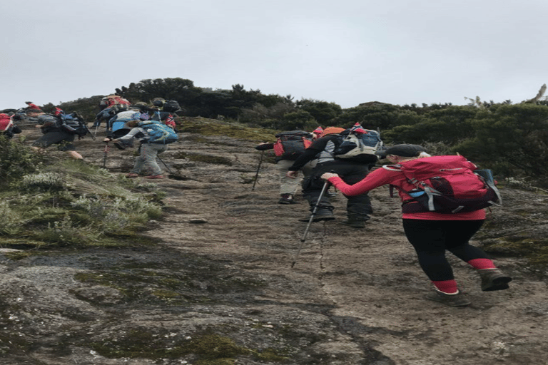 Tanzania: Kilimanjaro 10-Day Adventure with Hot Springs