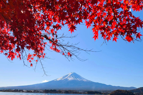 From Tokyo: 5 Best Mount Fuji Photo Spots Private Day Trip
