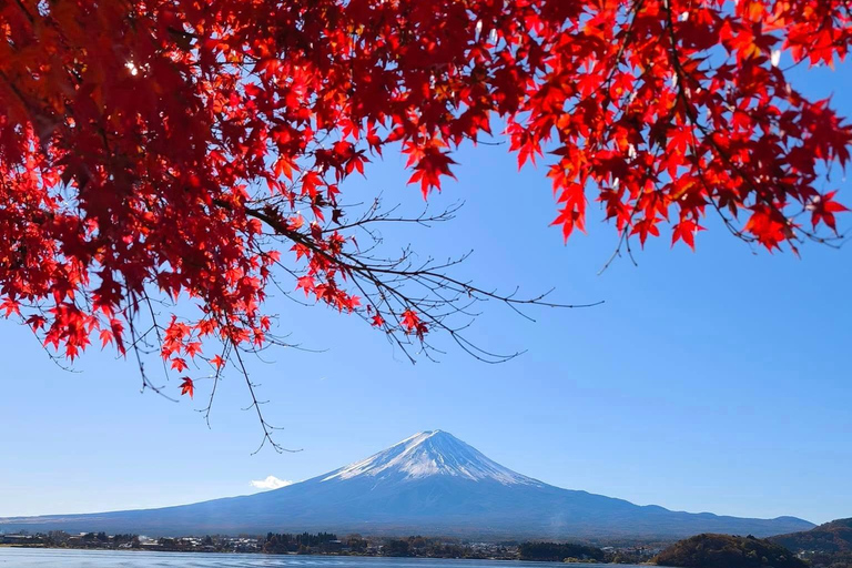 From Tokyo: 5 Best Mount Fuji Photo Spots Private Day Trip