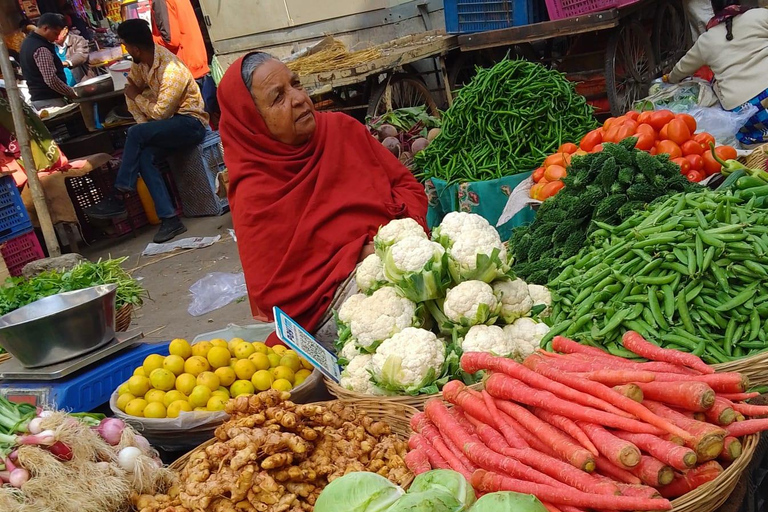 Passeggiate culturali a Jodhpur
