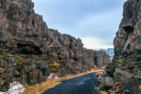 Golden Circle : Private Day Tour