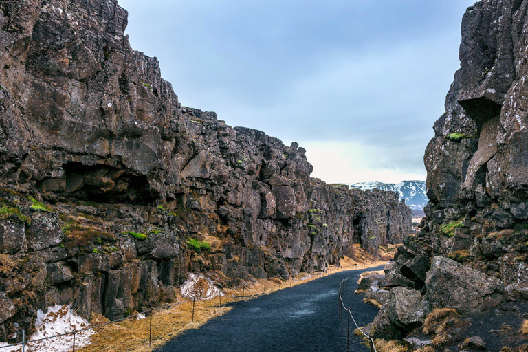 Golden Circle : Private Day Tour