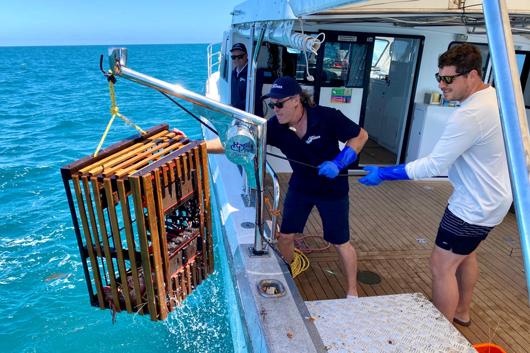 Mandurah: Doświadczenie z dzikimi owocami morza