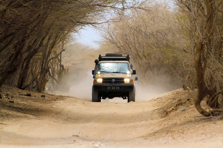 4x4 Boa Vista North Jeep Expedition 4hWyprawa Jeepem 4x4 Boa Vista North 4h