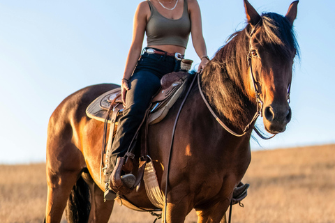 Arabisches Reiten in der Wüste Katars 3 Stunden Tour.