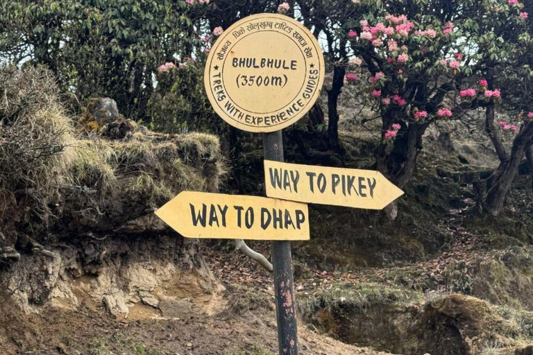Kathmandu: 8-Day Pikey Hill Trek Pike Hill Trek - 8 days