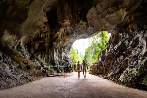 河内：下龙湾至兰哈湾 - 猫巴岛一日游从河内出发，乘坐豪华巴士（22 座）