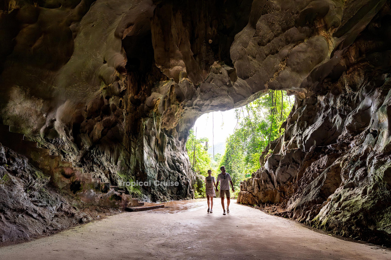 河内：下龙湾至兰哈湾 - 猫巴岛一日游从河内出发，乘坐豪华巴士（22 座）