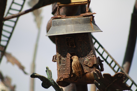 Tbilisi: Old Town Walking Tour with Wine & Boat Ride Options Private Tour