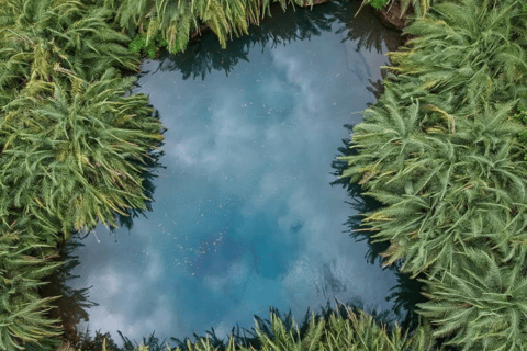 Arusha: 3-Day Tarangire Safari & Kikuletwa Hot Springs