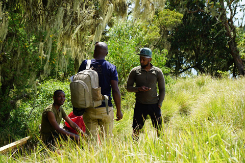 Moshi : Randonnée d&#039;une journée *tout compris* sur le Kilimandjaro (route de Marangu)