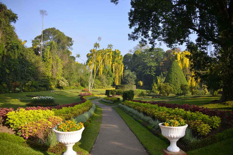 8-Day Sri Lanka Private Tour with Hotels, Train Ride &Safari