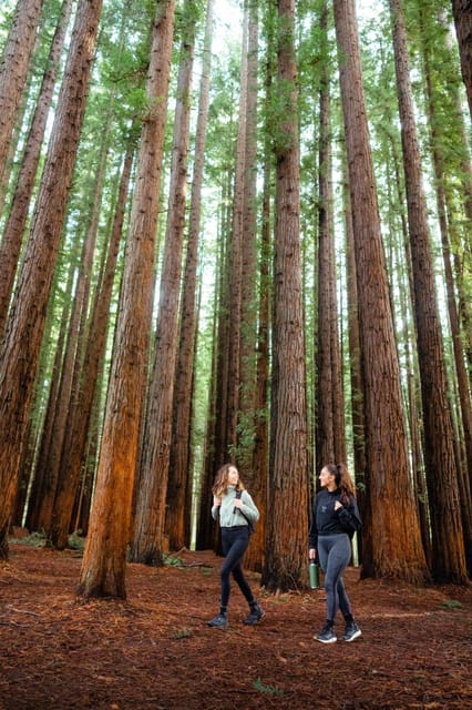 Yarra Valley, Redwood Forest Mountain Bike Adventure - Housity