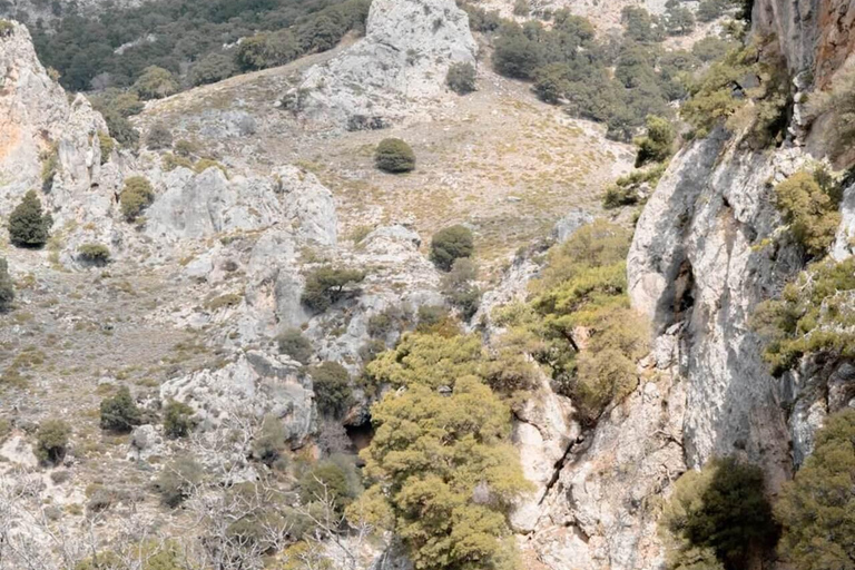 Crete: Platanion Gorge Hiking Tour with Traditional Lunch