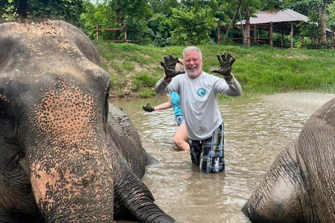 Bangkok to Elephants World&amp;Erawan Waterfall in KanchanaburiFrom Bangkok: Kanchanaburi Day Trip with Elephants World