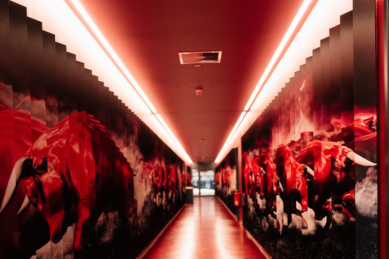 RB Leipzig Academy Tour