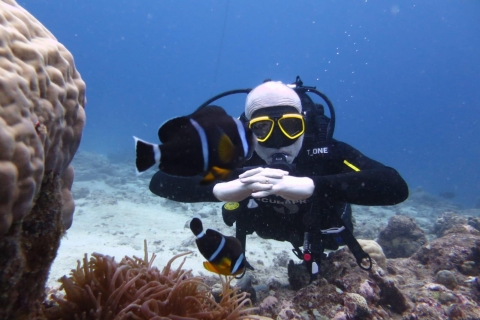 Maurice: aventure de plongée sous-marine de 3 heures sur la côte estMaurice: aventure de plongée de 3 heures sur la côte ouest