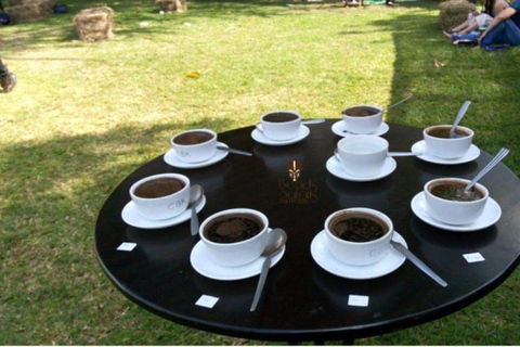 Nairobi: Tour della fabbrica e della fattoria del caffè con trasferimento