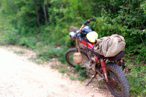 From Nairobi: Guided Bird Watching Tour