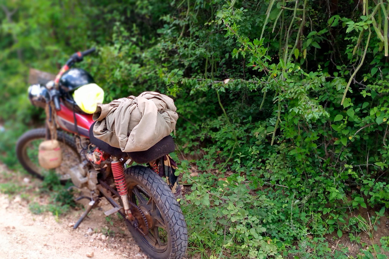 From Nairobi: Guided Bird Watching Tour