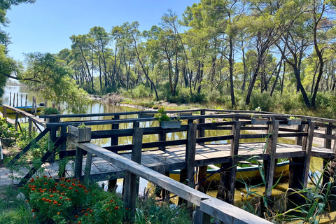 تيرانا: رحلة ليوم واحد إلى أبولونيا وبحيرة كارافاستا مع الغداء