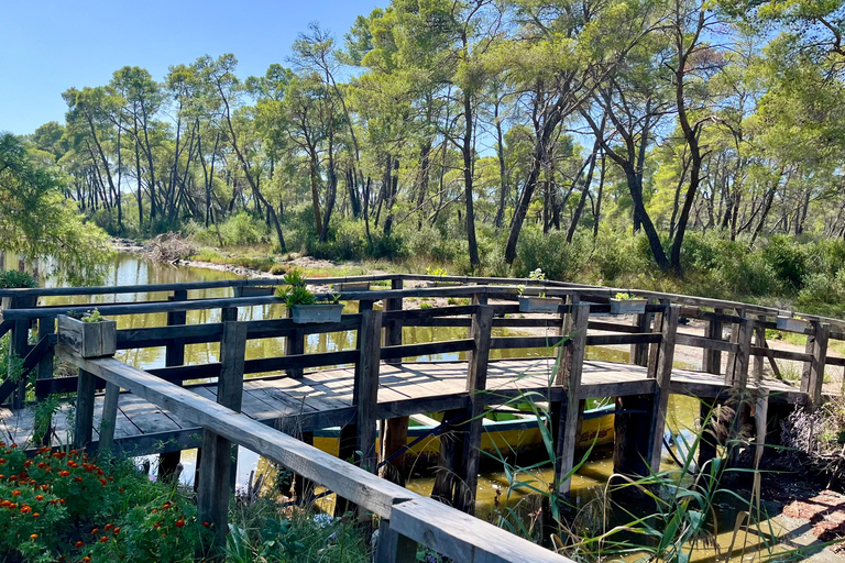 تيرانا: رحلة ليوم واحد إلى أبولونيا وبحيرة كارافاستا مع الغداء