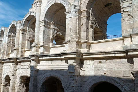 Arles Roman jewel & Provence wildlife